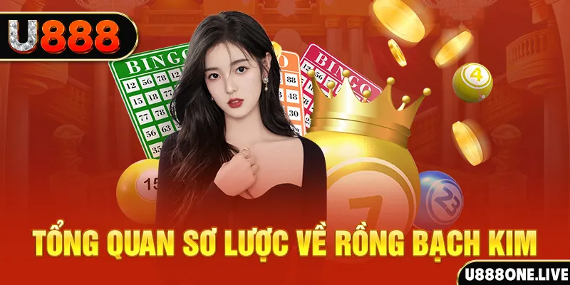 Tổng quan sơ lược về Rồng Bạch Kim