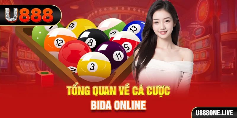 Tổng quan về cá cược Bida online