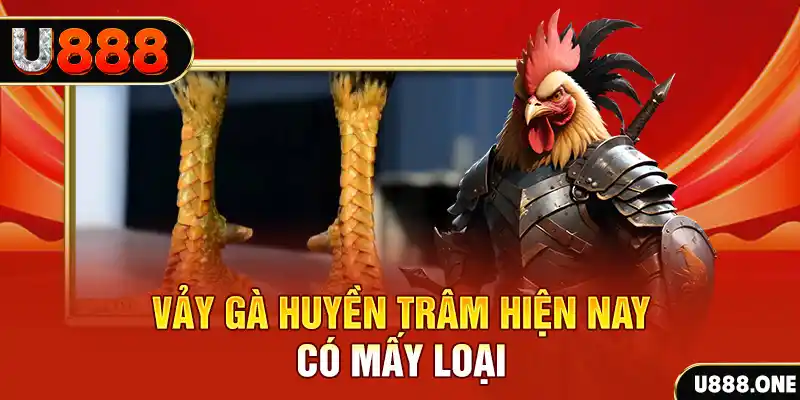 Vảy gà Huyền Trâm hiện nay có mấy loại